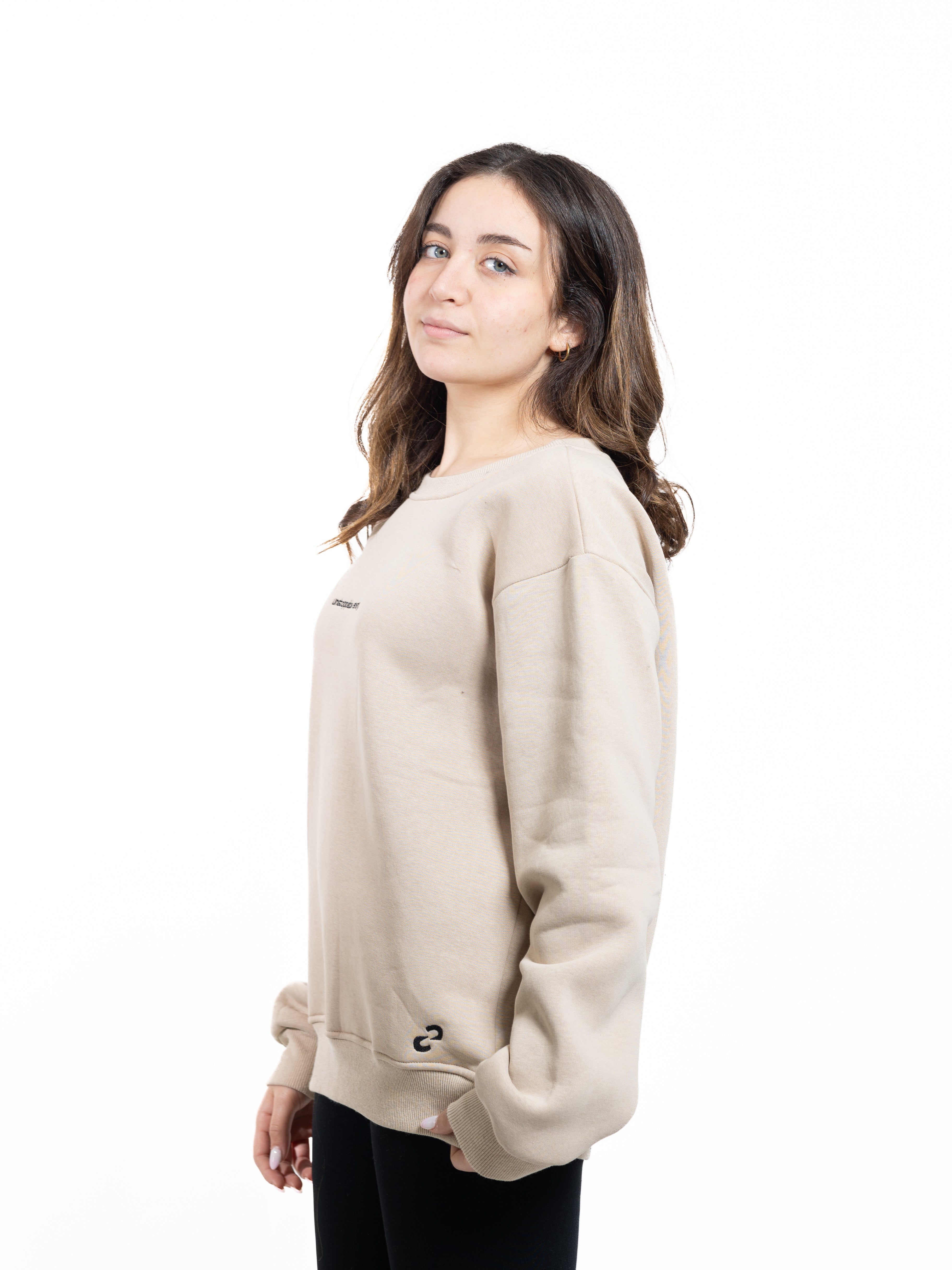 Unstoppable Energy Sweater