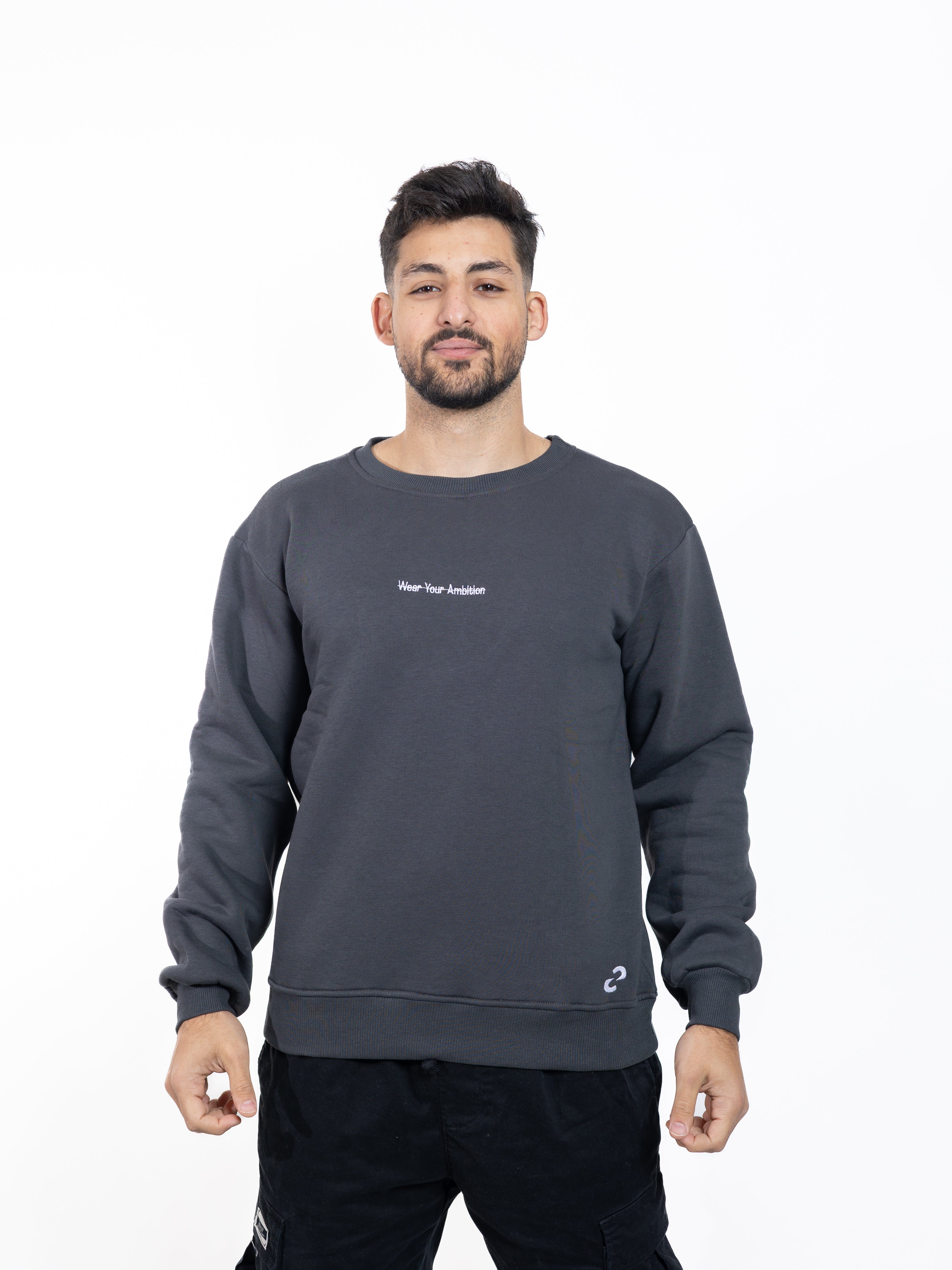 Wear Your Ambition Sweater