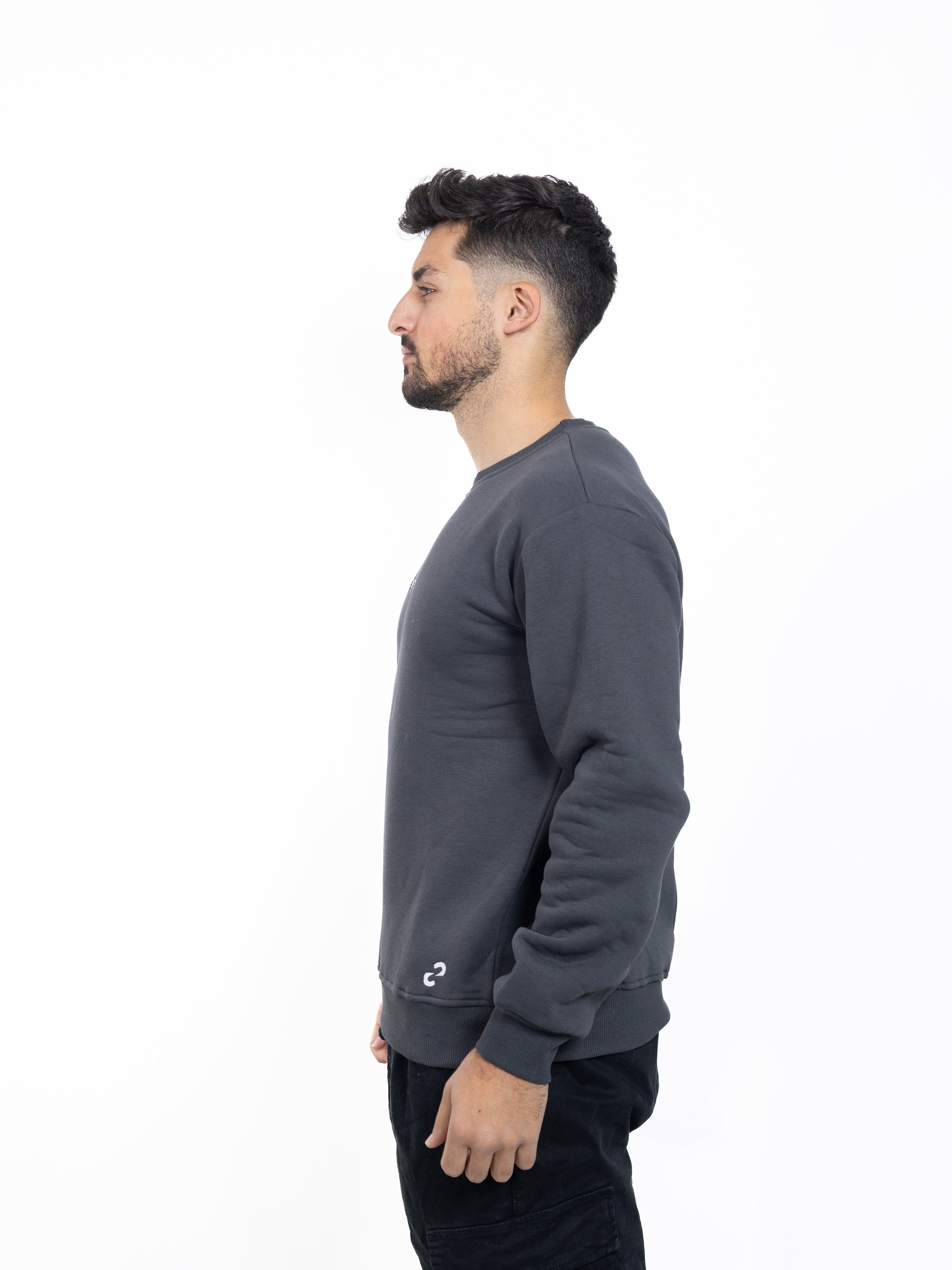 Wear Your Ambition Sweater